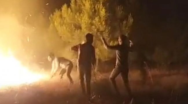 Urfa'da otomobilden atılan sigara izmariti yangını