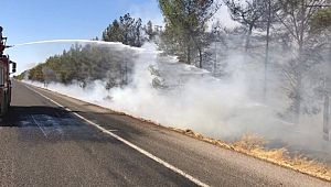 Şanlıurfa'da korkutan yangın (Videolu Haber)