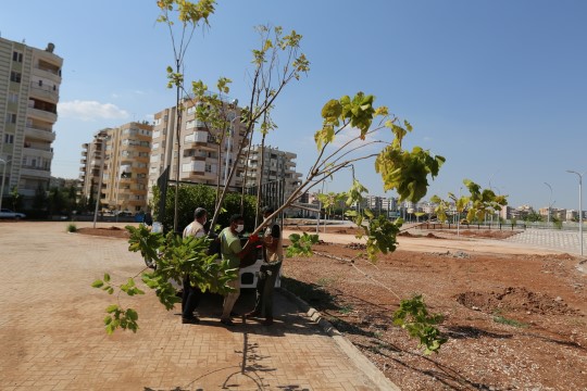 Canpolat: Karşıyaka’ya modern bir park kazandırıyoruz (Videolu Haber)