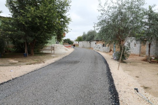 Harran’da köy içi asfalt çalışmaları dur durak bilmiyor