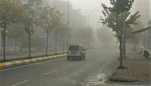 Şanlıurfa'da yoğun sis ( Video Haber )