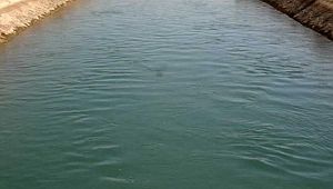 Şanlıurfa'da Sulama kanalına 21 kişi boğularak öldü