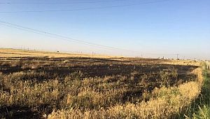 Şanlıurfa’da 80 dönüm buğday tarlası yandı