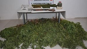 Şanlıurfa'da uyuşturucu operasyonu: 5 gözaltı
