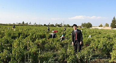 Japonya'dan Hilvan'a Yerel Hibe Desteği