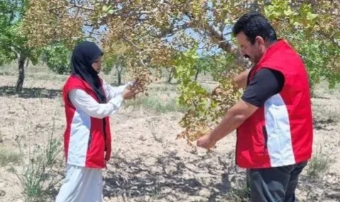 Karaköprü İlçesi Milli Saray Mahallesi'nde Tarım ekiplerince tespit yapıldı