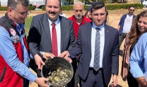 Şanlıurfa Vali Yardımcısı Şatıroğlu'ndan Bozova Su Ürünleri Tesisinde inceleme