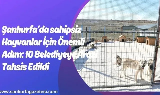 Şanlıurfa’da İlk Hayvan Bakımevi Halfeti Belediyesi Tarafından Faaliyete Geçirildi