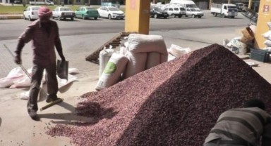 Fıstık Tesislerinde Sıkı Takip: Alımlar Kamerayla Kayıt Altında