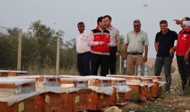 Haliliye’de Hayvancılığa Tam Destek! Kaymakam Sahada