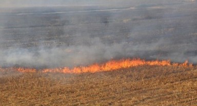 Şanlıurfa’da Anız Yangınlarına Karşı Jandarma’dan Önemli Uyarı