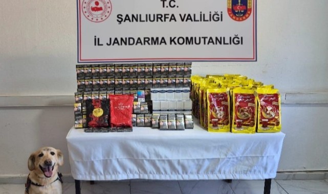 Şanlıurfa’da Kaçak Ürünlere Karşı Kararlı Mücadele!