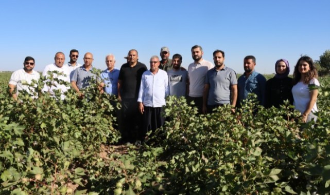 Şanlıurfa’da Çiftçilere Pamuk Tarımı Eğitimi ve Uygulama Günleri