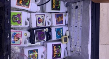 Şanlıurfa Jandarmasından Narkotik Operasyonu: Çok Sayıda Madde Yakalandı!