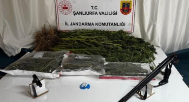 Şanlıurfa Siverek’te Jandarma Uyuşturucuya Geçit Vermedi!