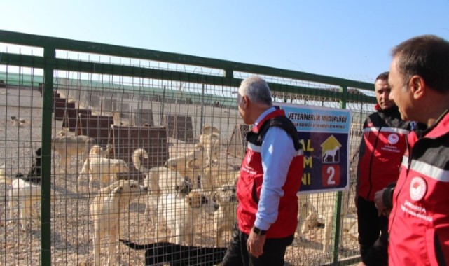 Tarım ve Orman Müdürü Söğüt, Bakımevlerini Denetledi!