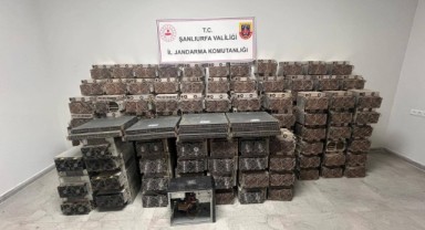 Şanlıurfa’da Kaçak Kripto Tesisi Çökertildi: Jandarmadan Büyük Operasyon