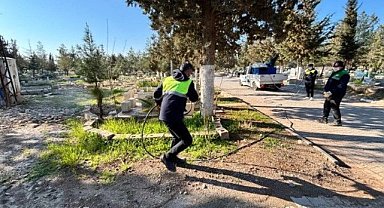 Ceylanpınar’da Sivrisineklere Karşı Erken Mücadele Başladı!