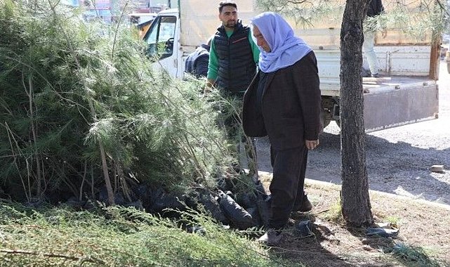 Şanlıurfa Viranşehir’de Park Ve Bahçeler Ekiplerinden Yeşil Dokunuş
