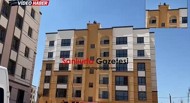 TOKİ Şantiyesinde İşçilerin Çatı Protestosu