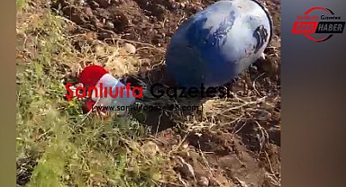 Mezarlıkta Dehşet: Varilden 11 Cenin Cesedi Çıktı