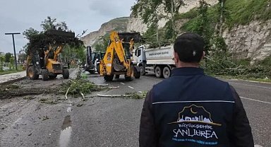 Şanlıurfa Büyükşehir’den Fırtına Mesaisi