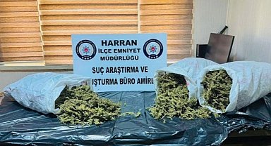 Şanlıurfa’da 8 Kilo 240 Gram Esrar Ele Geçirildi