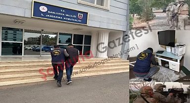 Şanlıurfa’da Dev Uyuşturucu Operasyonu: 96 Gözaltı