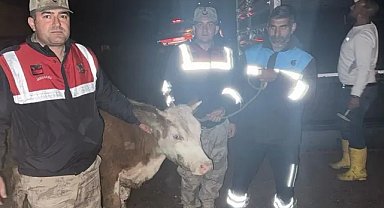 Şanlıurfa’da Kamera Kayıtları Gerçeği Ortaya Çıkardı
