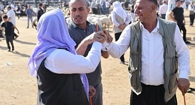 Şanlıurfa Hayvan Pazarlarında Hareketlilik Başladı