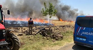 Şanlıurfa İl Tarım Müdürlüğü’nden Çiftçilere Çağrı
