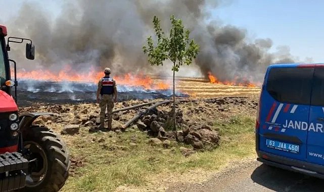 Şanlıurfa İl Tarım Müdürlüğü’nden Çiftçilere Çağrı