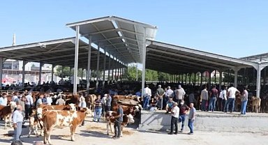 Şanlıurfa Karaköprü'de Kurban Kesimleri Bu Noktalarda Yapılacak
