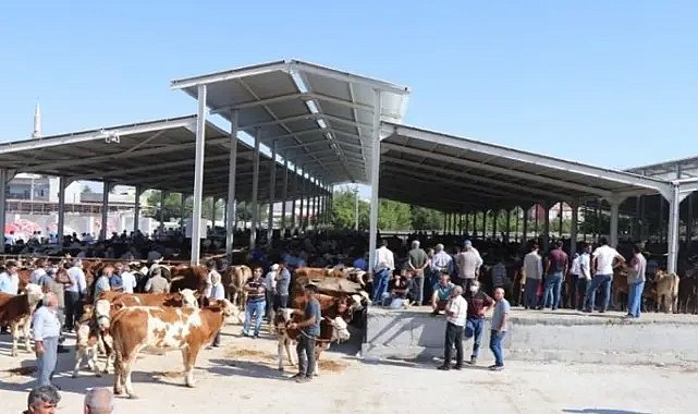 Şanlıurfa Karaköprü'de Kurban Kesimleri Bu Noktalarda Yapılacak