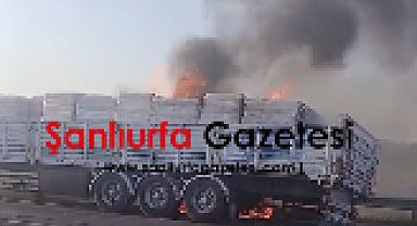 Şanlıurfa Yolunda Korkutan Yangın: TIR Küle Döndü