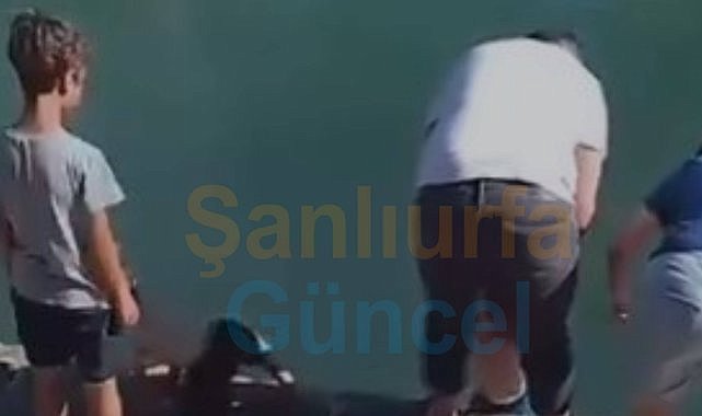 Şanlıurfa Balıklıgöl'de Yaşanan Olay Gündem Oldu!