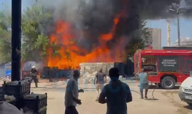 Şanlıurfa'da Korkutan Yangın! Alevler Hal Pazarı Yakınında Yükseldi