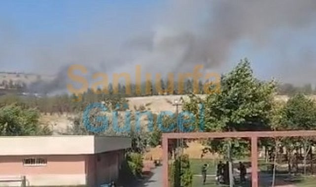 Şanlıurfa'da Korkutan Yangın! GAP Vadisi'nden Dumanlar Yükseldi