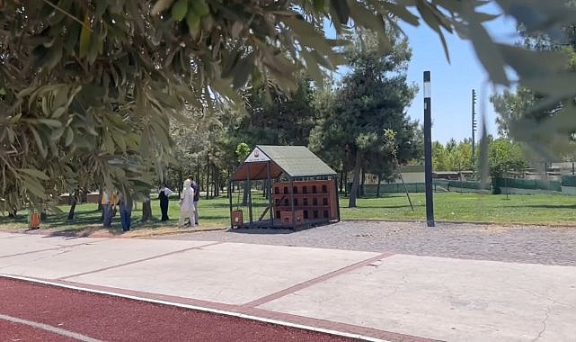 Şanlıurfa'da Sokak Kedileri İçin Örnek Proje Büyüyor