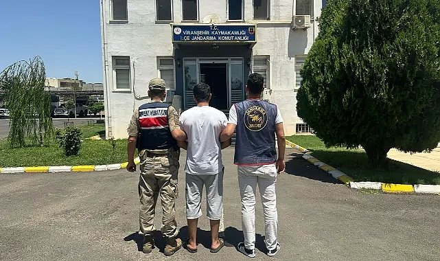 Şanlıurfa Jandarmasından Başarılı Operasyon! 10 Yıllık Firari Yakalandı