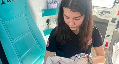 Şanlıurfa'da Araç İçerisinde Mucize Doğum