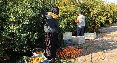 Şanlıurfa'da Bölge Birliği Genel Kurulu Toplanıyor