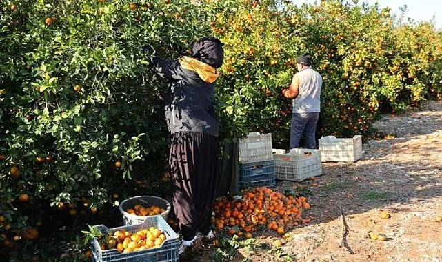 Şanlıurfa'da Bölge Birliği Genel Kurulu Toplanıyor