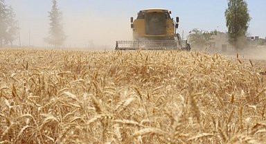 Şanlıurfa’da Buğday Ve Arpa Fiyatları Belli Oldu