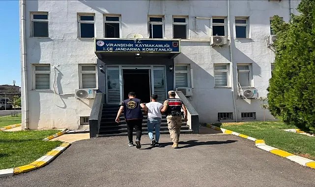 Şanlıurfa Viranşehir’de Aranan Hükümlü Jandarmadan Kaçamadı