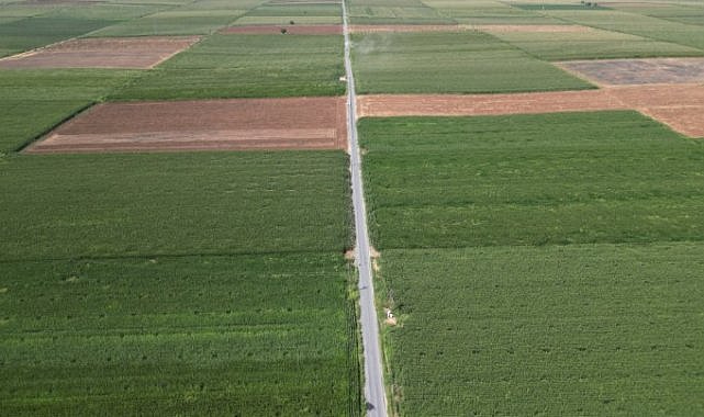 Ceylanpınar’da 12 Kilometrelik Yol İçin Asfalt Çalışması Başladı