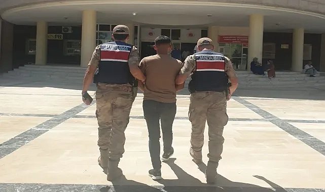 Eyyübiye’de Aranan Şahıs Jandarma Ekiplerince Yakalandı