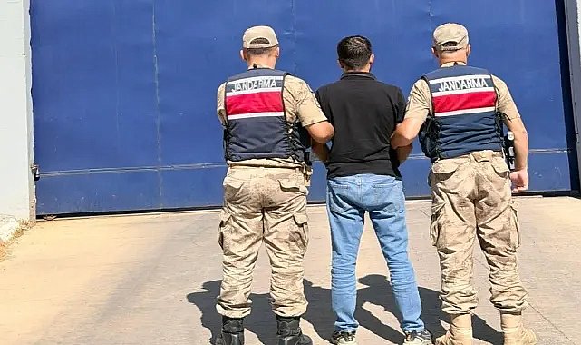Şanlıurfa’da Aranan Şahıs Jandarma Operasyonuyla Yakalandı