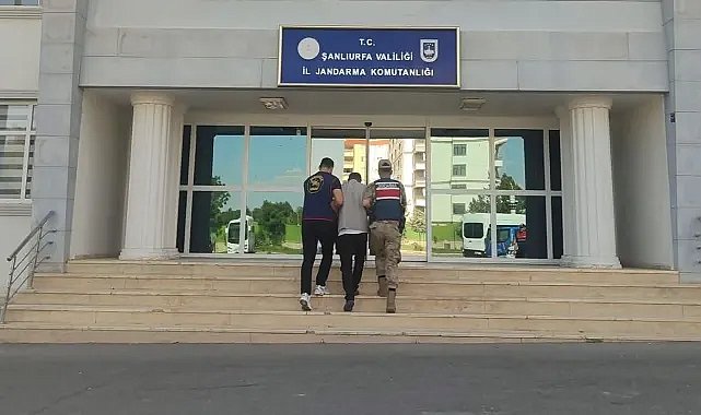 Şanlıurfa’da Firari Dolandırıcılık Şüphelisine Operasyon