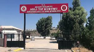 Saman yüklerken düşen Suriyeli öldü